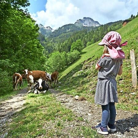Bed And Breakfast - Die Aelplersuit Fuer Backpackers Im Berghuesli Linthal Εξωτερικό φωτογραφία