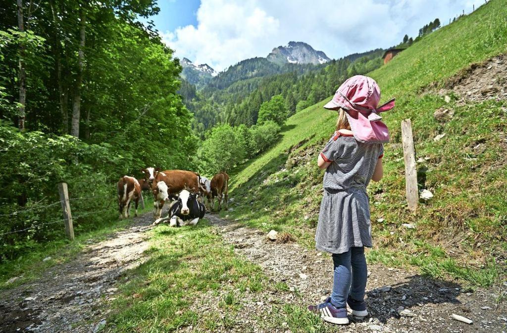 Bed And Breakfast - Die Aelplersuit Fuer Backpackers Im Berghuesli Linthal Εξωτερικό φωτογραφία