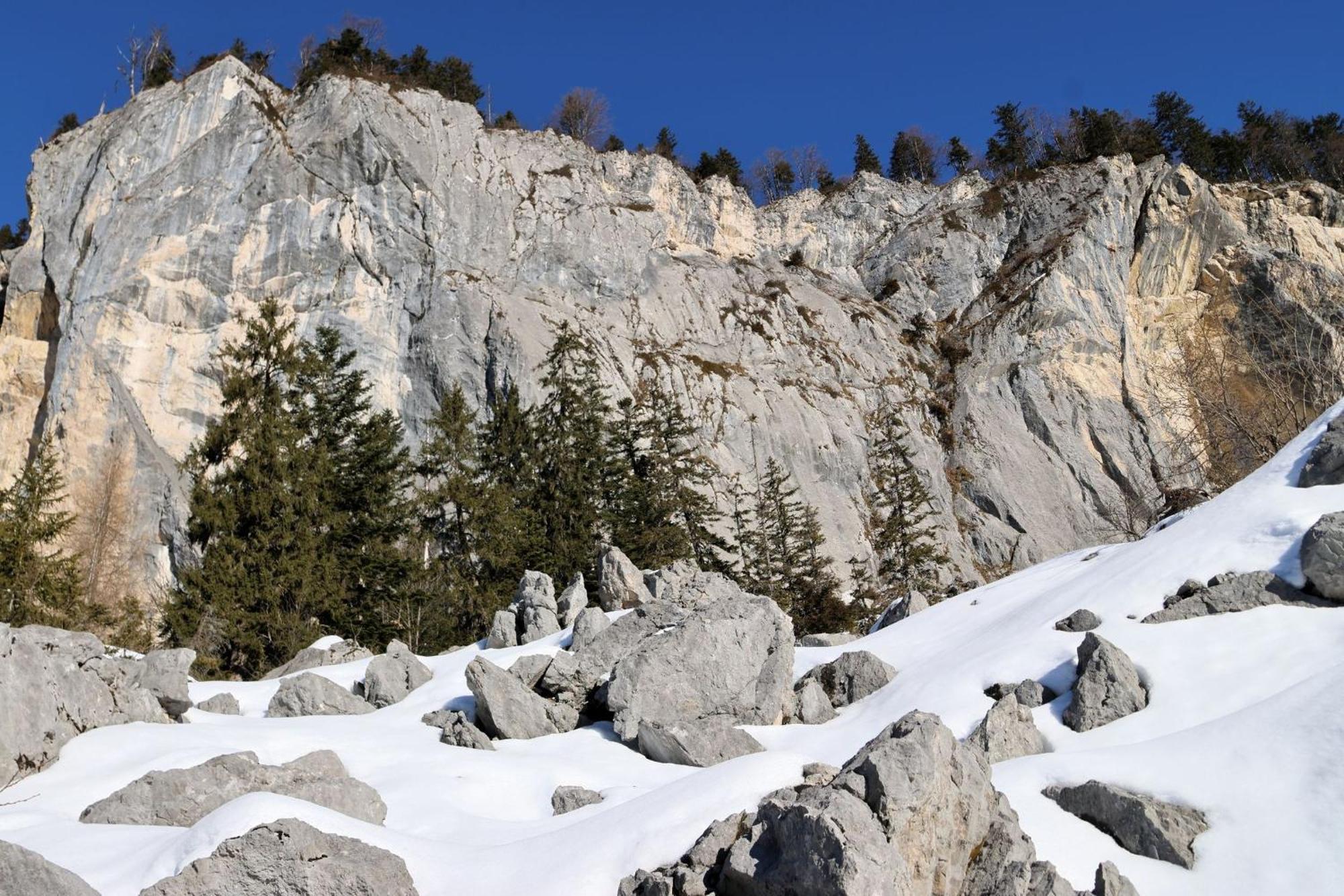 Bed And Breakfast - Die Aelplersuit Fuer Backpackers Im Berghuesli Linthal Εξωτερικό φωτογραφία