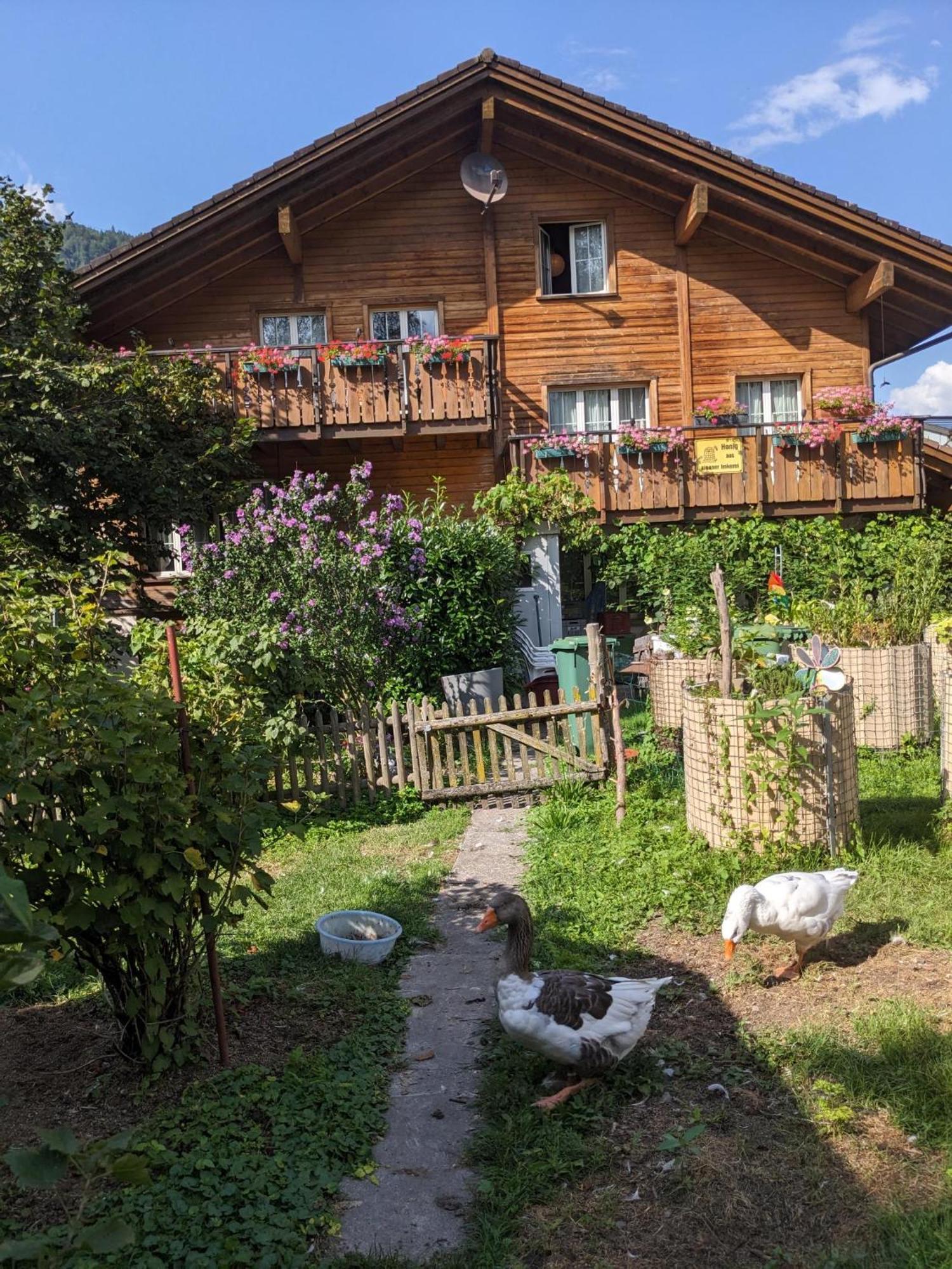 Bed And Breakfast - Die Aelplersuit Fuer Backpackers Im Berghuesli Linthal Εξωτερικό φωτογραφία